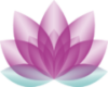 Vitaveda